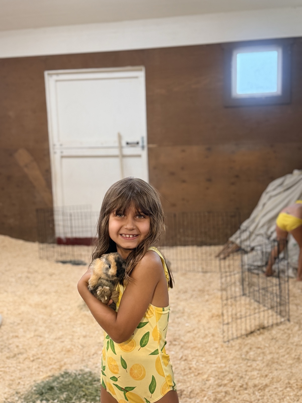 More bunny time in the barn